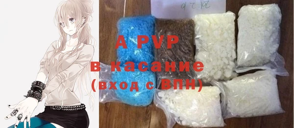 индика Гусь-Хрустальный