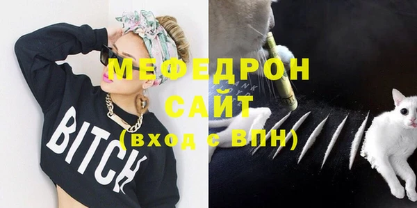 индика Гусь-Хрустальный