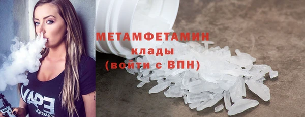индика Гусь-Хрустальный