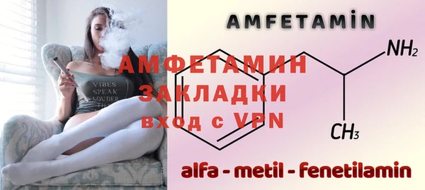 индика Гусь-Хрустальный