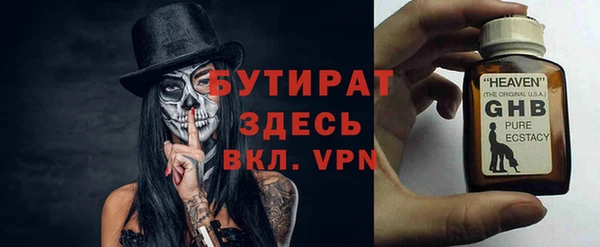индика Гусь-Хрустальный