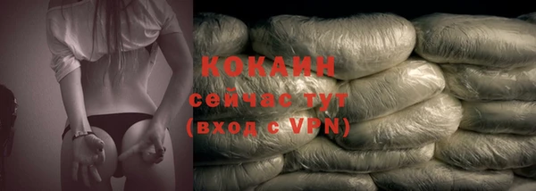 индика Гусь-Хрустальный