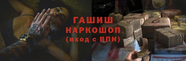 индика Гусь-Хрустальный
