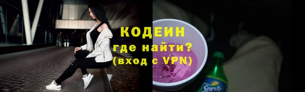 индика Гусь-Хрустальный