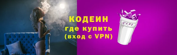 индика Гусь-Хрустальный
