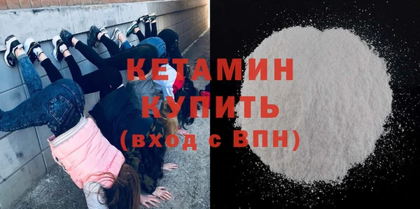 индика Гусь-Хрустальный