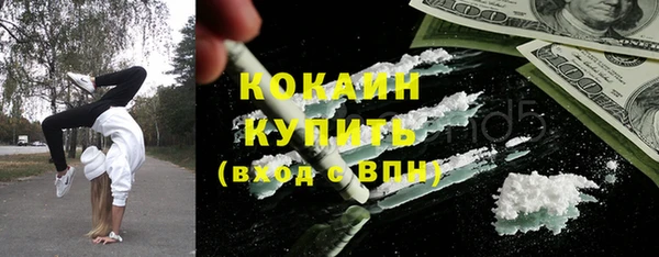 индика Гусь-Хрустальный