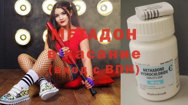 индика Гусь-Хрустальный