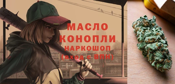 индика Гусь-Хрустальный