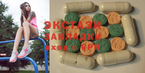 индика Гусь-Хрустальный