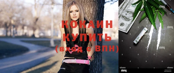 индика Гусь-Хрустальный