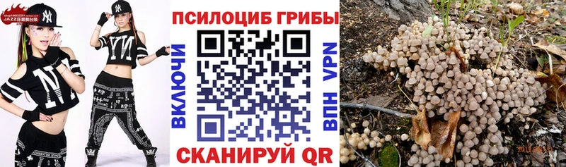 Галлюциногенные грибы прущие грибы  Купить где  Приволжск 